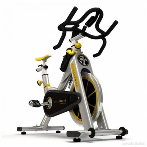 Livestrong Indoor Bike Spares